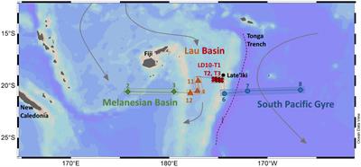 Iron-binding by dissolved organic matter in the Western Tropical South Pacific Ocean (GEOTRACES TONGA cruise GPpr14)
